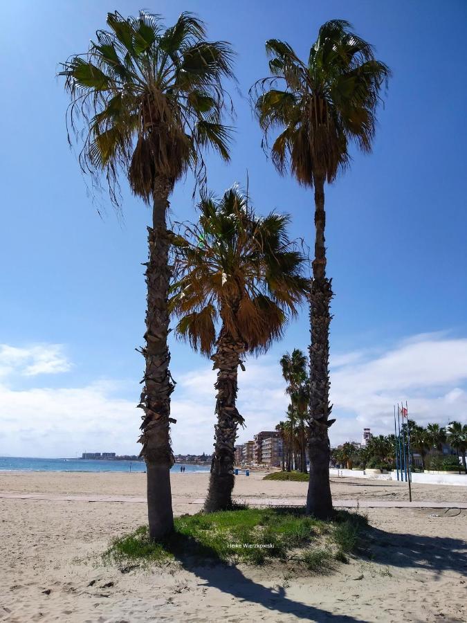Apartament Carmen Torrevieja Buitenkant foto